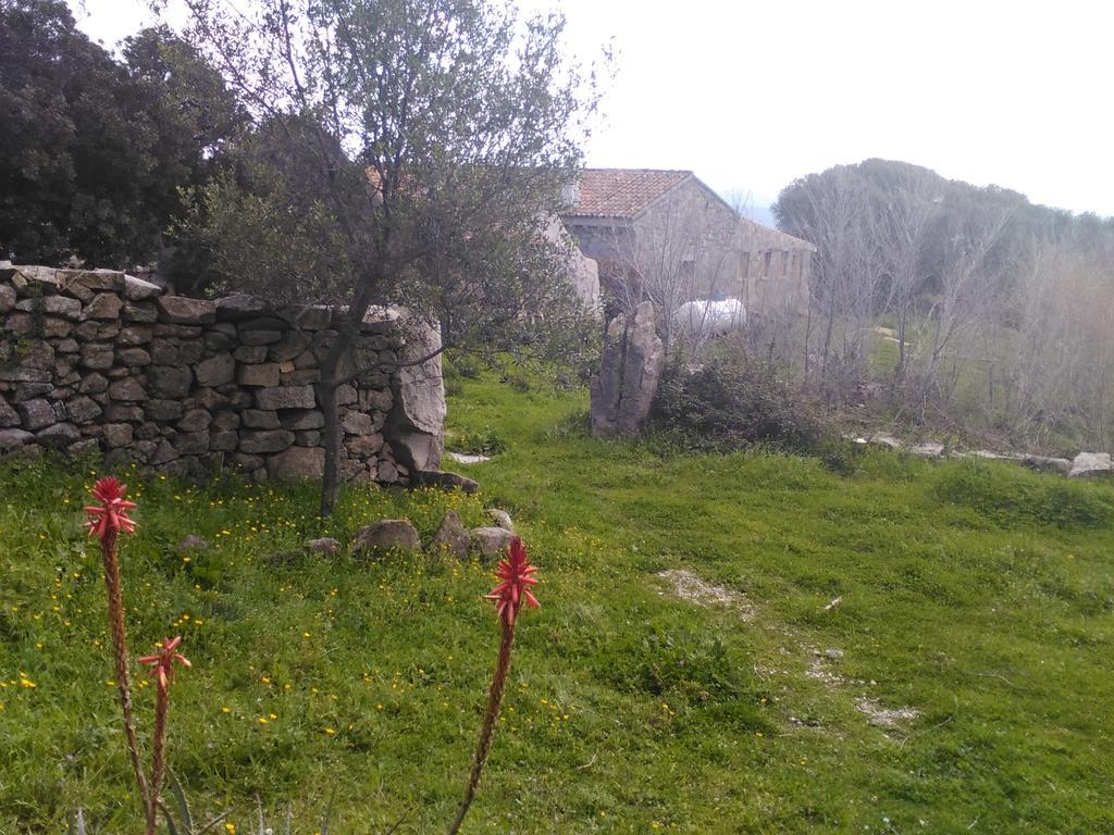 B&B Agriturismo Canu Luogosanto Exterior foto